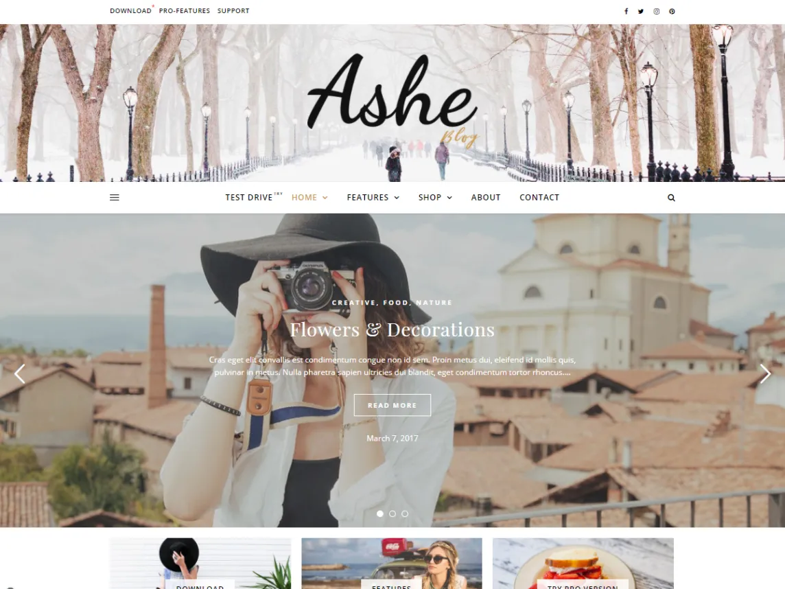 Ashe Blog belongs to the Best WordPress Ecommerce themes