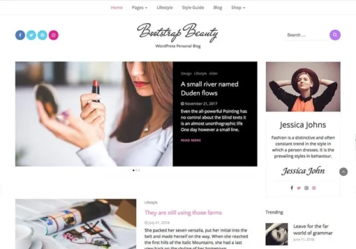 Blog WordPress theme Beauty
