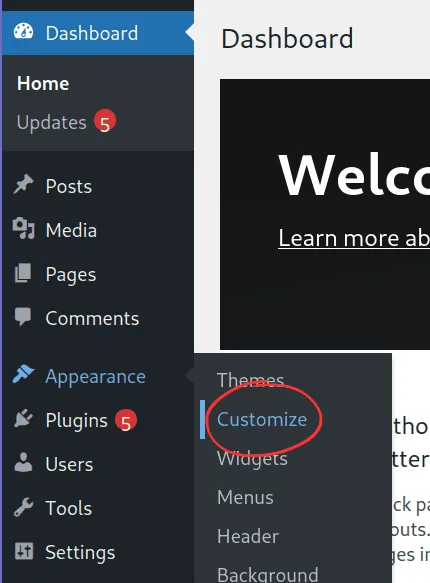 How to change WordPress themes: Go to Customizer