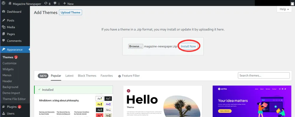 How to Install WordPress Theme: Install Now