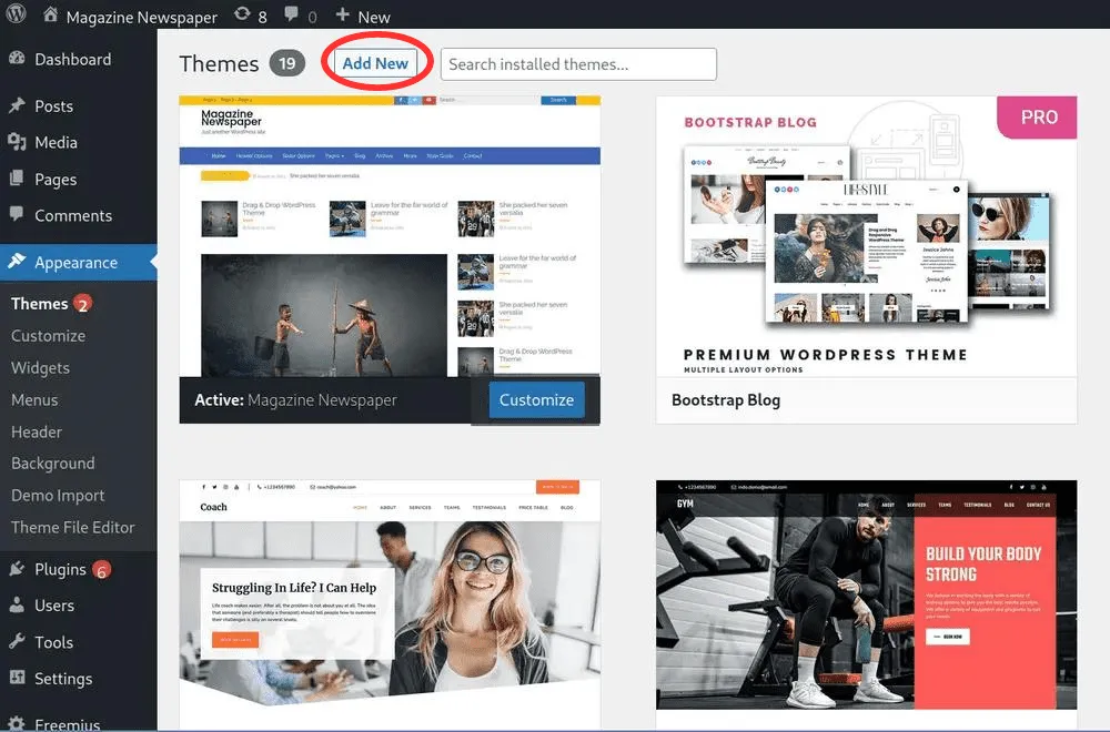 How to Install WordPress Theme: Themes Page Opened