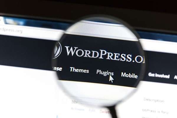 WordPress Plugins that improve site speed