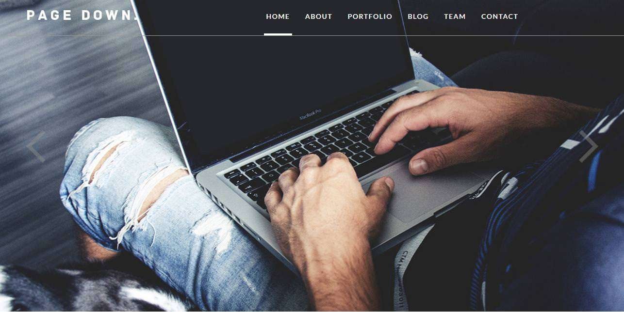 Best Premium Portfolio Themes for WordPress